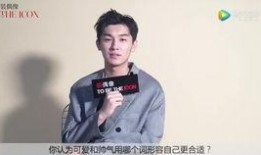 杨旭哥哥爆料视频大全,揭秘幕后真相与精彩瞬间